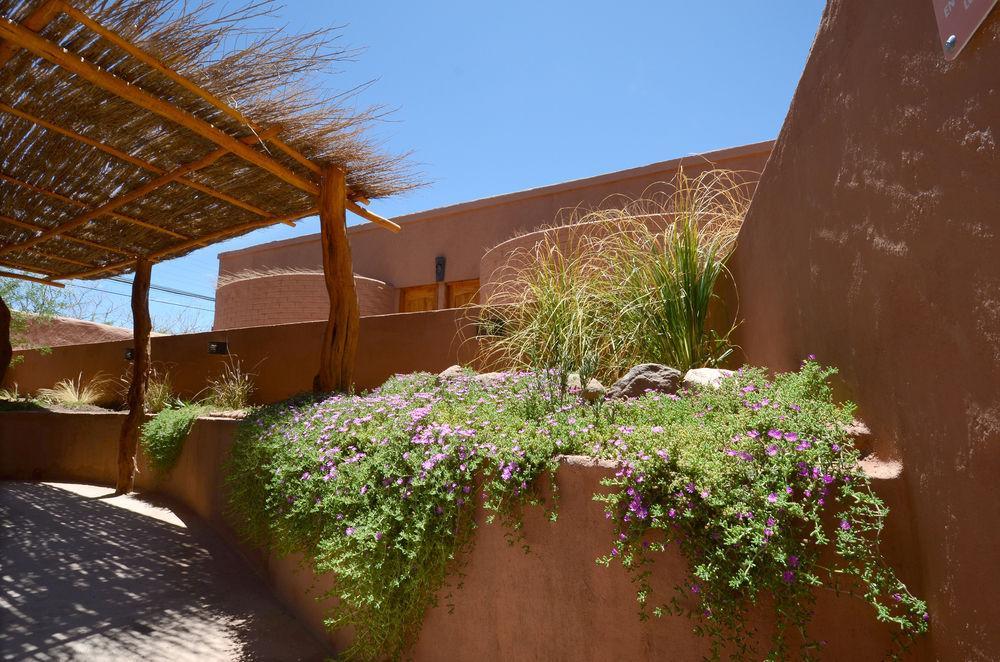 Hotel Pascual Andino San Pedro de Atacama Dış mekan fotoğraf