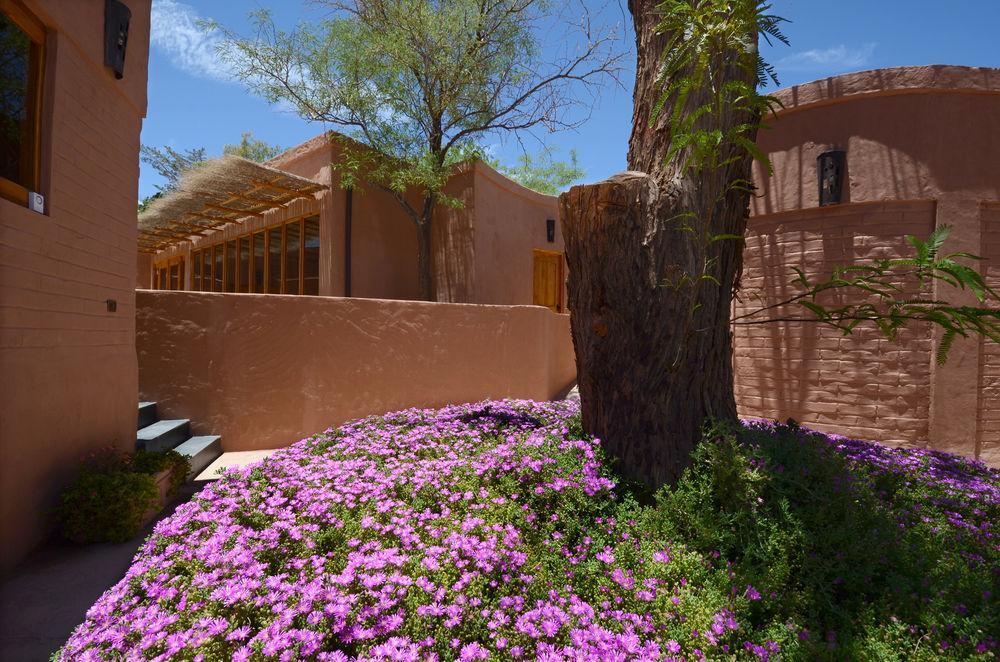 Hotel Pascual Andino San Pedro de Atacama Dış mekan fotoğraf